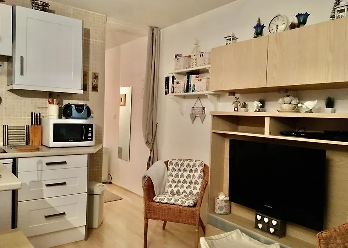 Renove Au Pied Des Pistes, 4 Pers., Animaux Non Admis - Fr-1-181-2586